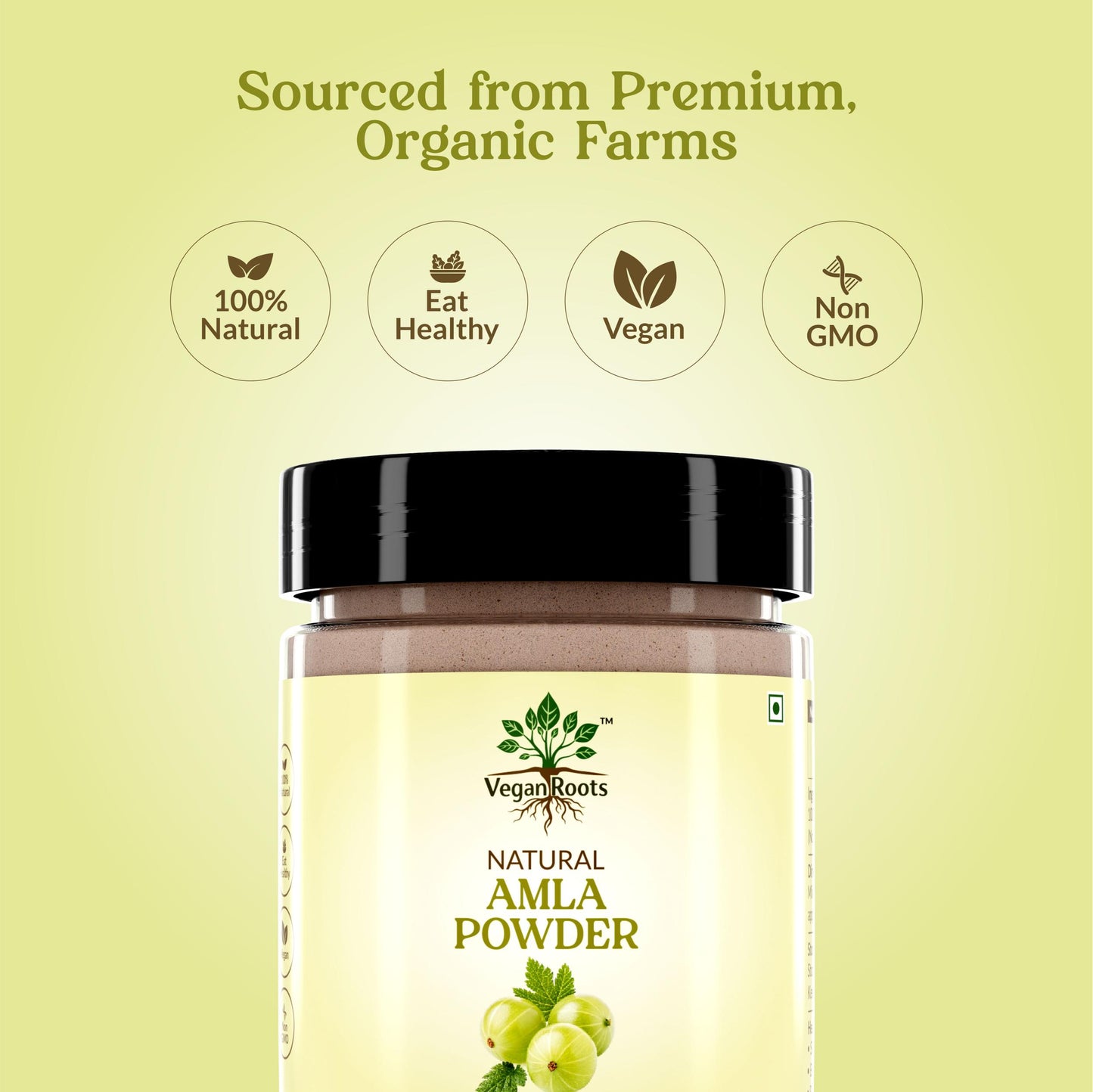 Pure &  Natural Amla (Indian Gooseberry) Fruit Powder for Hair Growth, Skin Care, Drinking & Eating, Rich in Antioxidants